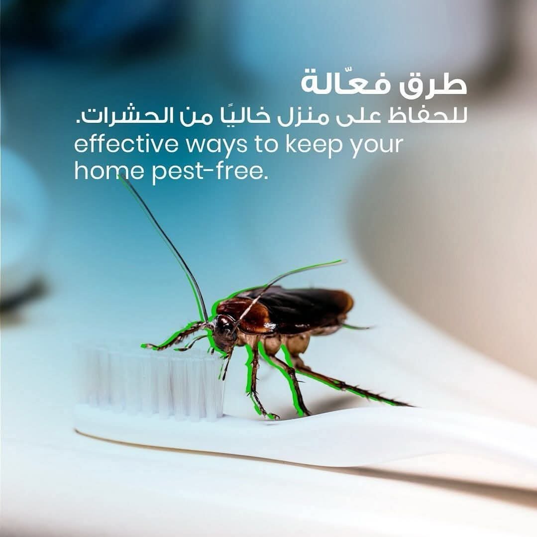 رش مبيدات