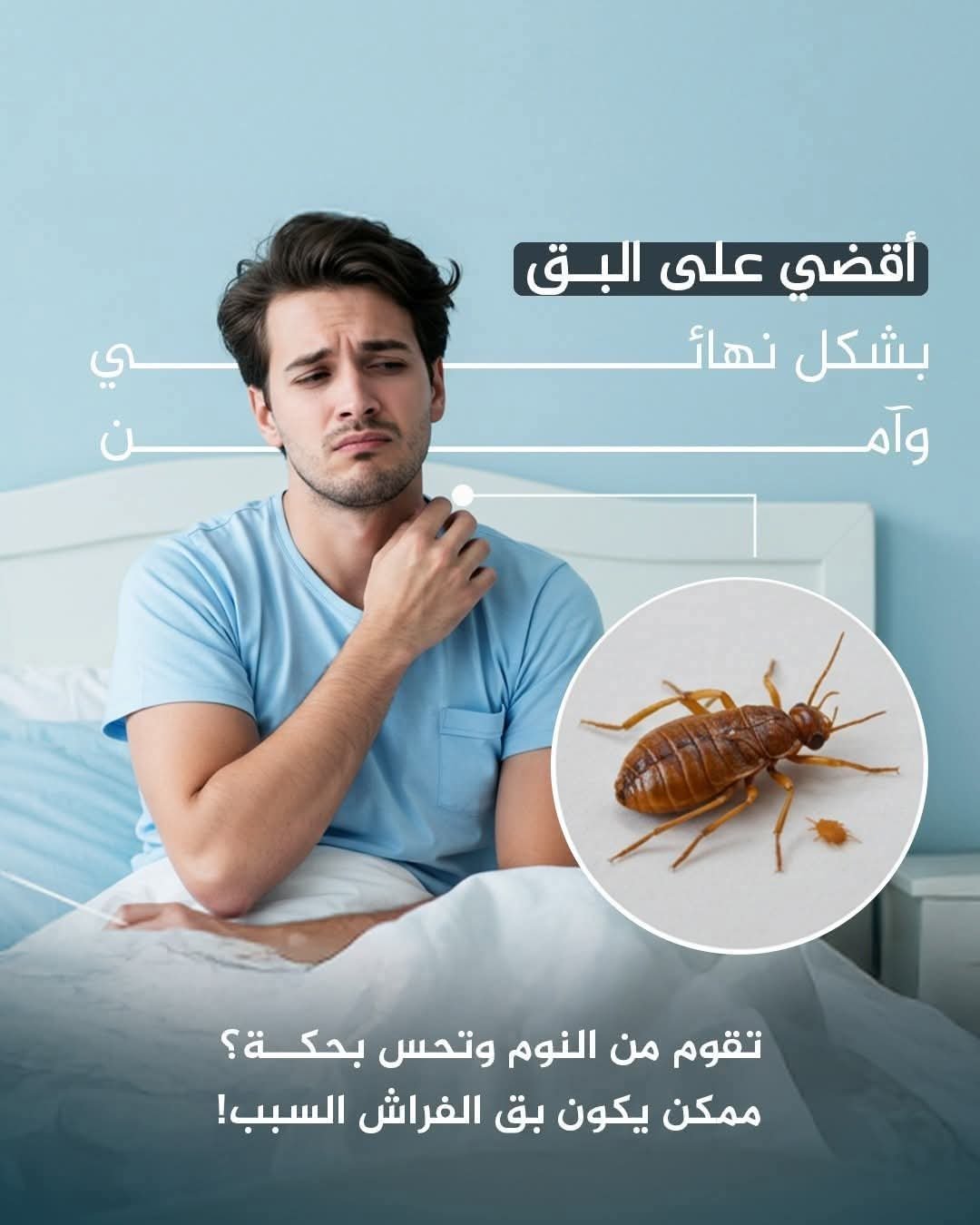 إبادة قوارض
